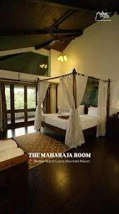 Deluxe Mountain View Room